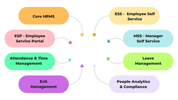 Aorta Pulse Platform
